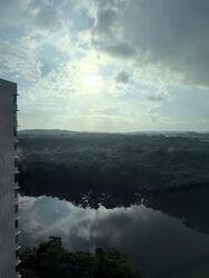 Blk 476A Hougang Capeview (Hougang), HDB 3 Rooms #584576911